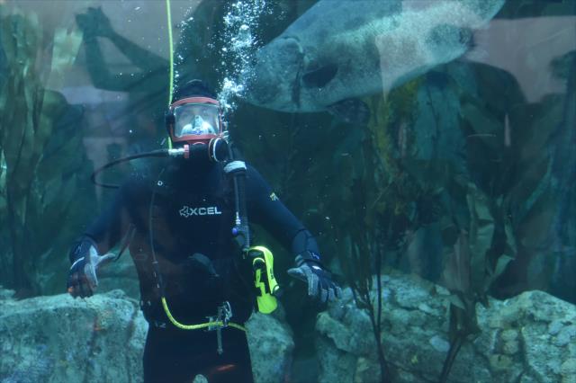 View James Hinchcliffe explores Aquarium of the Pacific